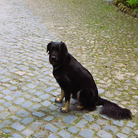 In Nahe Lueneburger Heide, Cleaning Included *